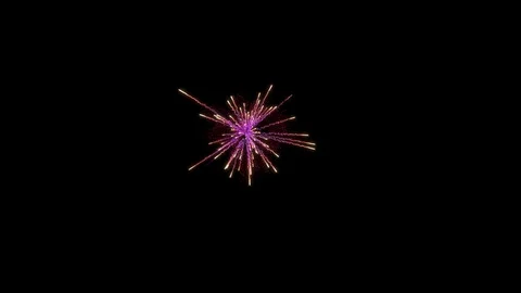 Firework explosion with trails. Stock Footage 95537147