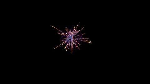 Firework explosion with trails. Stock Footage 95586179