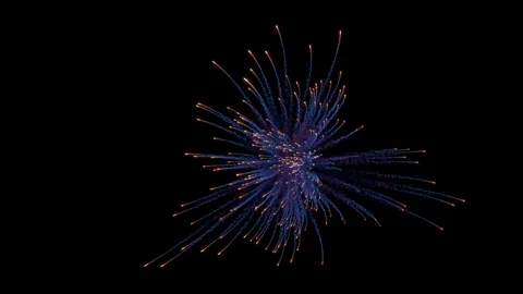 Firework explosion with trails. Stock Footage 95947551