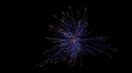 Firework Explosion With Trails. Stock Footage