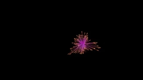 Firework explosion with trails. Stock-Footage 95948535