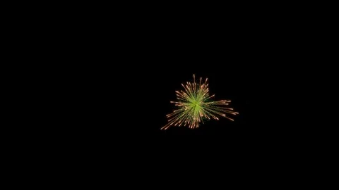 Firework explosion with trails. Stock Footage 95948740