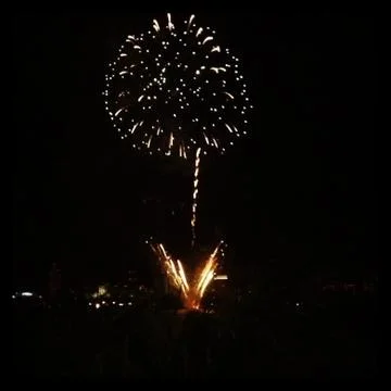 Firework Flower Foto stock