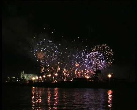 Firework Stock Footage 118225
