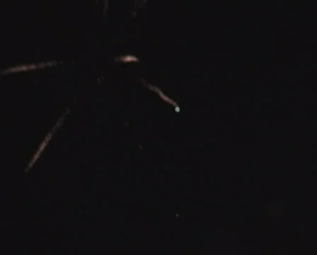 Firework Stock-Footage 397789