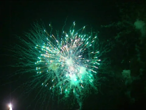 Firework Stock Footage 637896