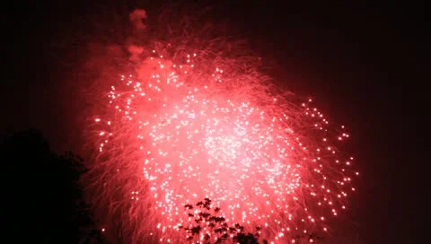 Firework Stock Footage 10788011