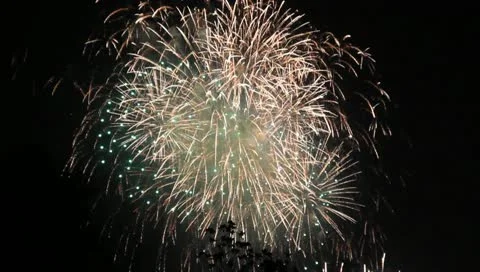Firework 스톡 동영상 10788083