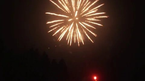 Firework Stock Footage 73580006