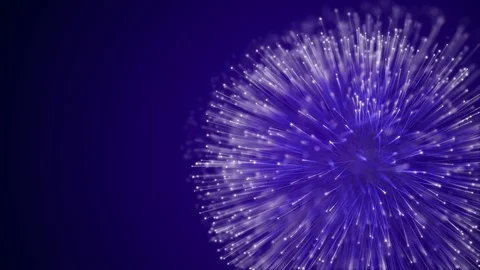 Firework Stock Footage 76359795