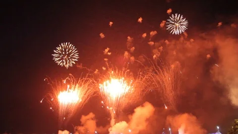 Firework Stock Footage 89563826