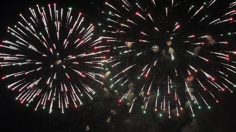 Firework Stock Footage 89564700