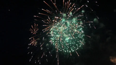 Firework Stock Footage 89564713