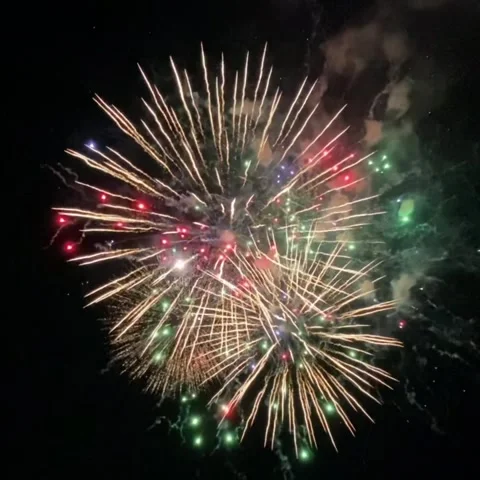 Firework Stock Footage 154540625