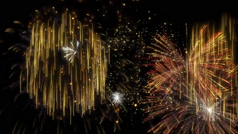 Firework Stock Footage 163965597