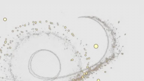 Firework Stock Footage 166874938