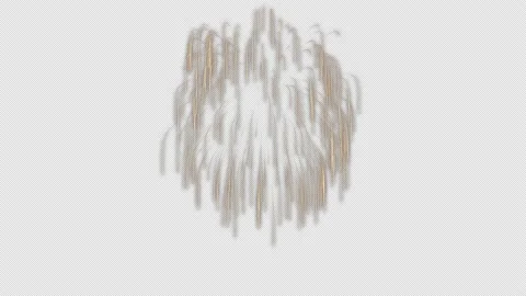 Firework 스톡 동영상 166885814