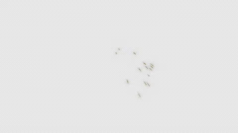 Firework Stock Footage 167252512