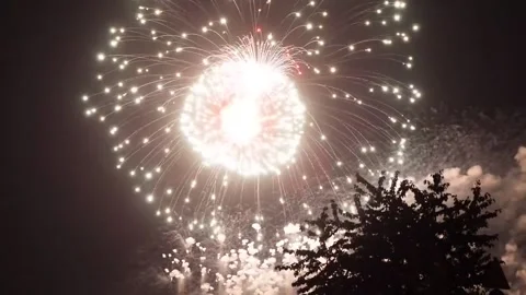 Firework Stock Footage 208837799