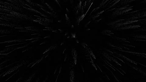 Firework Stock Footage 224622122