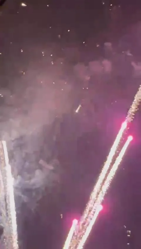 Firework Stock Footage 234358083