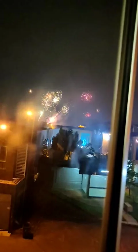 Firework Stock Footage 234358117