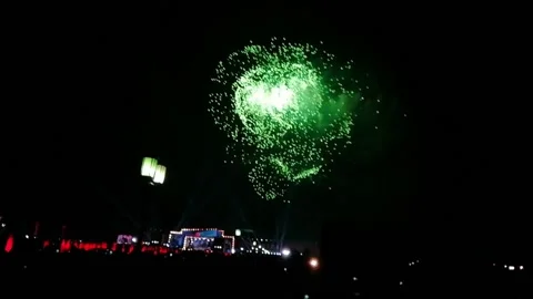 Firework Stock Footage 236146005