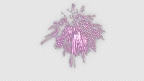 Firework Stock Footage 256120749