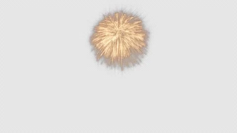 Firework Stock Footage 256735205