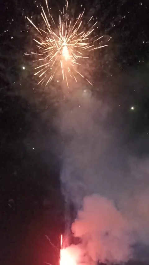 Firework Stock Footage 291008608