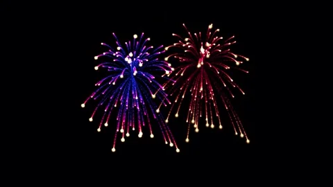Firework Stock Footage 320729409