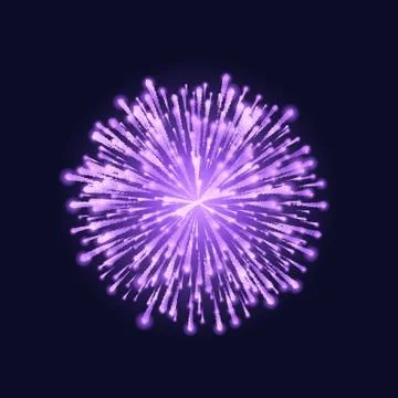 Firework isolated. Beautiful purple firework on dark sky background. Vector i Stock Illustration