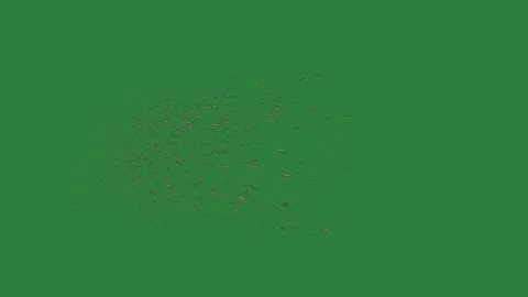 Firework lot of small dots black sparkle isolated on green screen background Vidéo 336969177