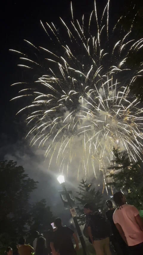 Firework Niagra Video stock 245765209