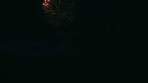 Firework on night sky Stock Footage 91106471