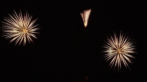 Firework at night sky Stock Footage 119221190