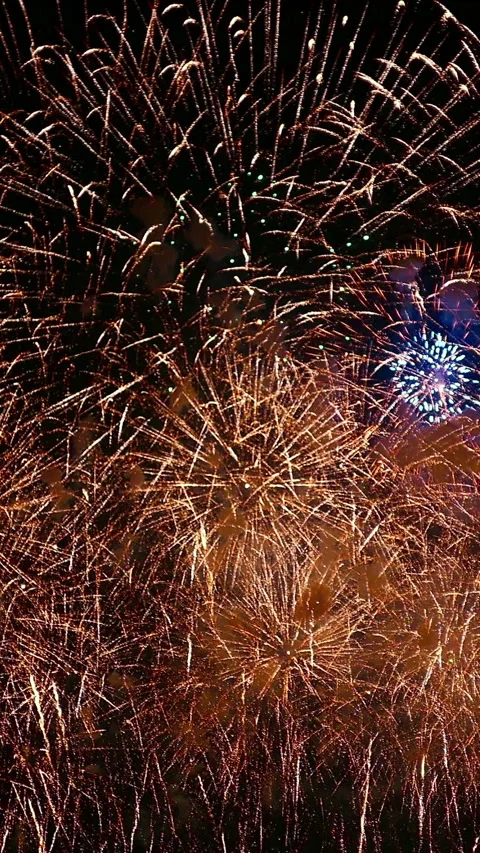 Firework in the night sky Stock Footage 220724376