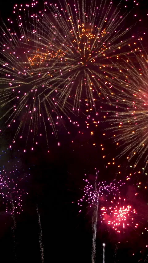 Firework in the night sky Stock Footage 220724641