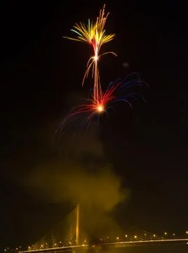 Firework in night sky Foto stock
