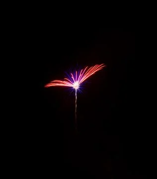 Firework in night sky Foto stock