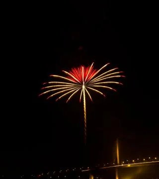 Firework in night sky Foto stock