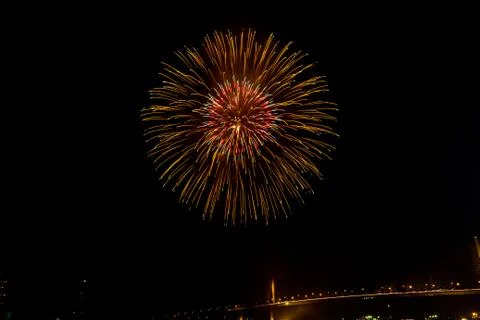 Firework in night sky Foto stock
