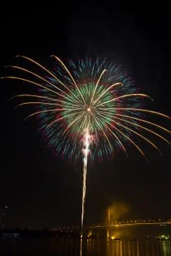 Firework in night sky Foto stock