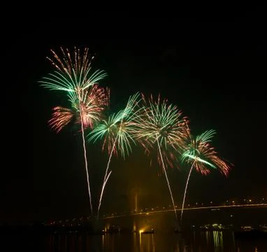 Firework in night sky Foto stock