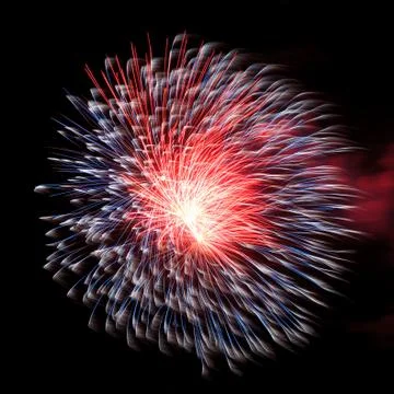Firework in the night sky Stock Photos