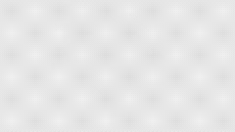 Firework Overlay 4 Pack Transparent Alpha Stock Footage 322573491