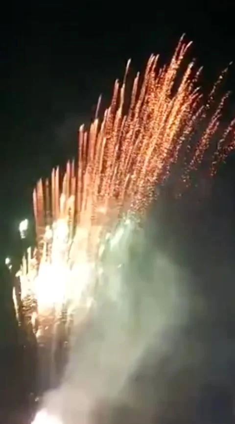 Firework party 動画素材 224097071