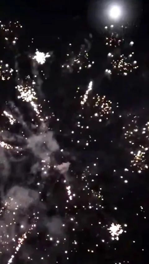 Firework party 動画素材 224108680