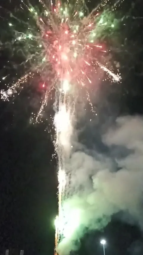 Firework party Stock Footage 291008366