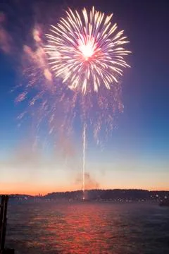 Firework Stock Photos